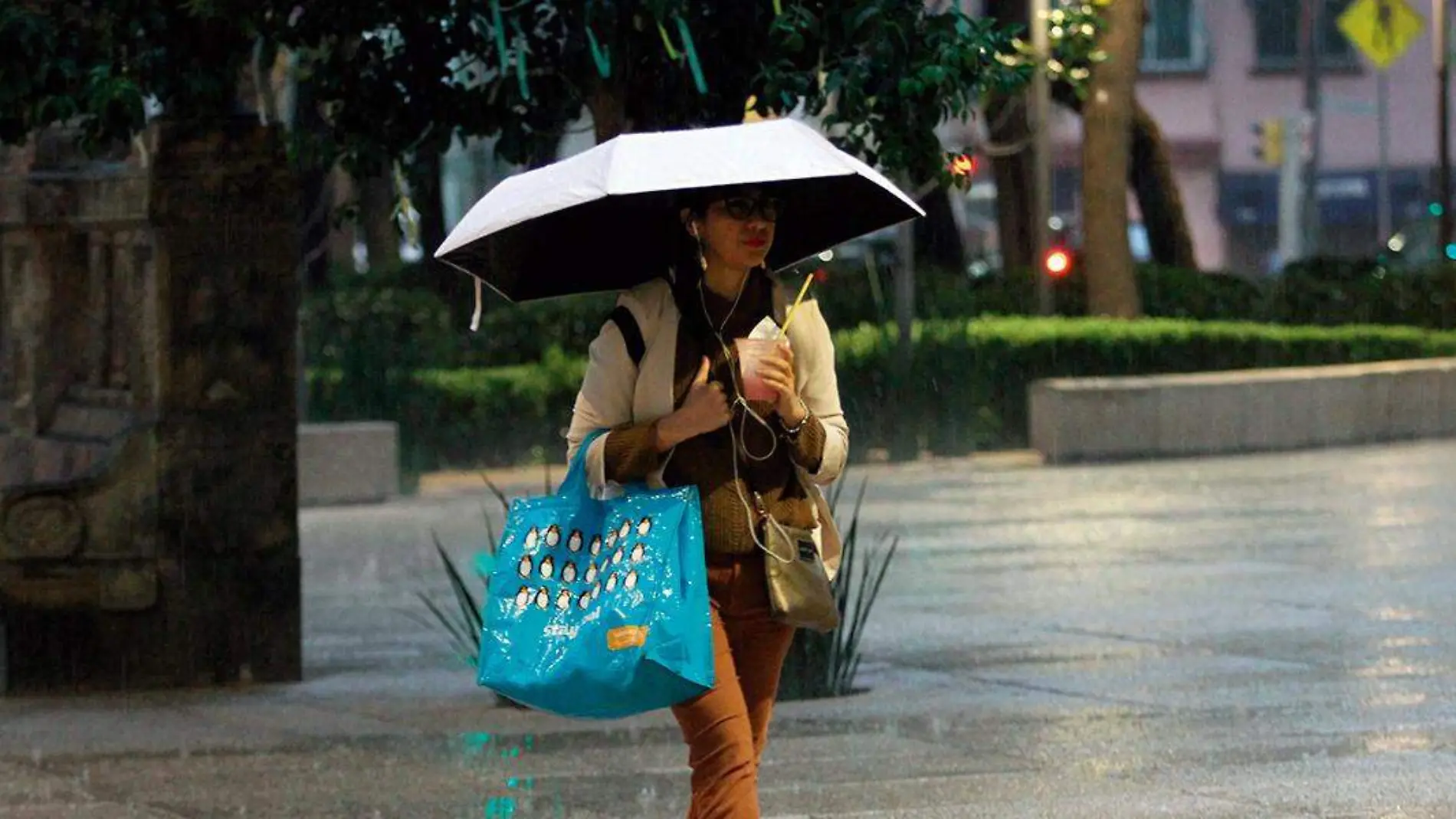 Mujer se cubre con una sombrilla de la lluvia